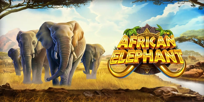 Bocoran Rahasia Agar Meraih Jackpot di Slot African Elephant